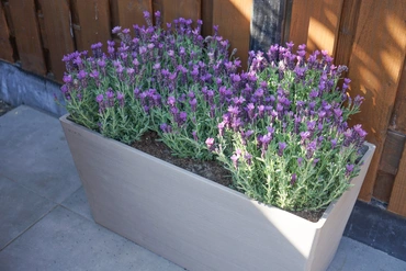 Bloembak Paris 80 cm Wit Grijs Lichtgrijs Ecopots - afbeelding 4