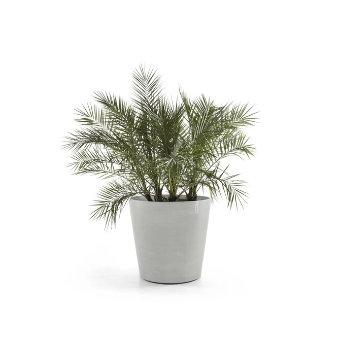 Amsterdam wheels white grey 100 sfeer, Ecopots, tuincentrumoutlet