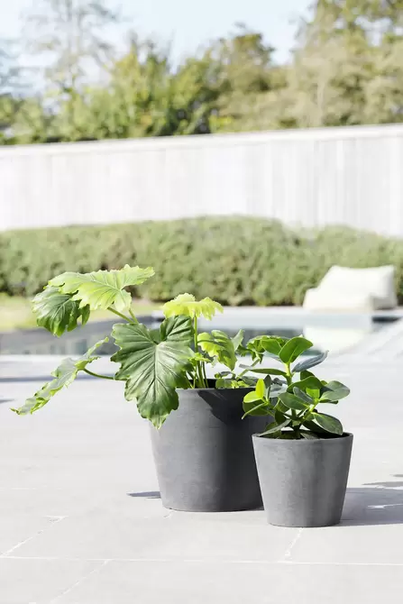 Amsterdam Grey 20 sfeer, Ecopots, tuincentrumoutlet