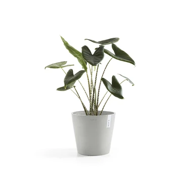 Pot amsterdam witgrijs d30h27cm sfeer, Ecopots, tuincentrumoutlet