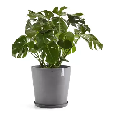 Amsterdam Grey 50 sfeer, Ecopots, tuincentrumoutlet