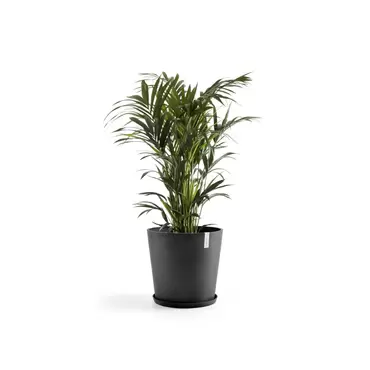 Amsterdam Dark Grey 60 sfeer met onderzetter, Ecopots, tuincentrumoutlet