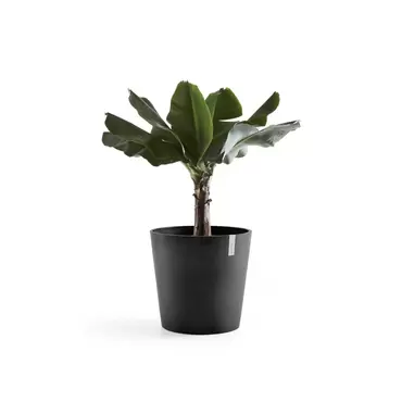 Amsterdam + Water Reservoir Dark Grey 50 sfeer 2, Ecopots, tuincentrumoutlet