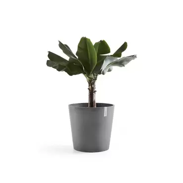 Amsterdam + Water Reservoir Grey 50 sfeer 2, Ecopots, tuincentrumoutlet