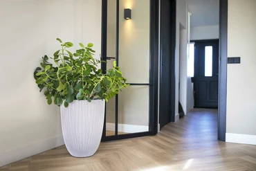 Bloempot Bol Groove NL Ivoor Wit Elegant Laag 46 58 Capi Europe - afbeelding 3