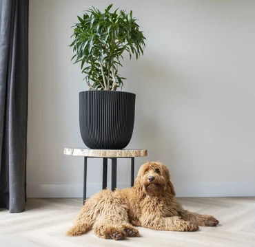 Bloempot Bol Groove NL Zwart 35 34 Capi Europe - afbeelding 4