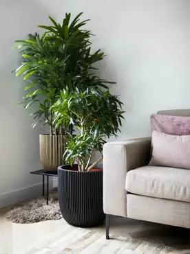 Planter ball Groove NL 35x34 black sfeerbeeld, Capi Europe, tuincentrumoutlet