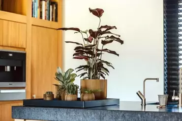 Bloempot Bol Groove Zwart Goud 18 16 Capi Europe - afbeelding 3