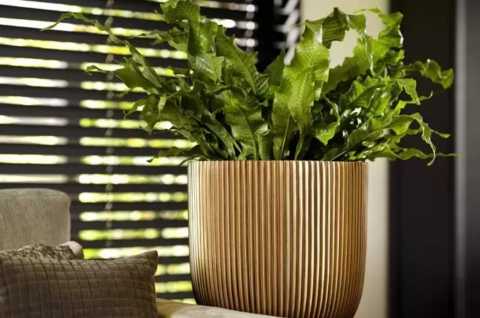 Bloempot Bol Groove Zwart Goud 8 6 Capi Europe - afbeelding 4