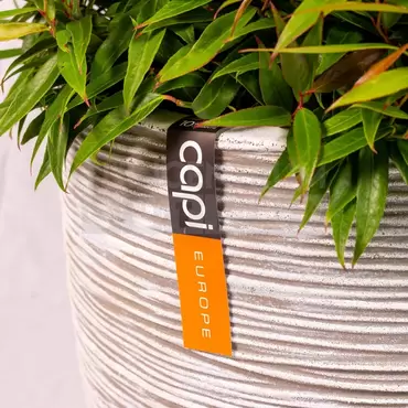 Bloempot Bol Rib Ivoor Wit 35 34 Capi Europe + Leucothoe - afbeelding 2