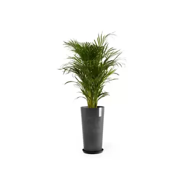 Amsterdam Extra High Dark Grey 90 sfeer met onderzetter, Ecopots, tuincentrumoutlet