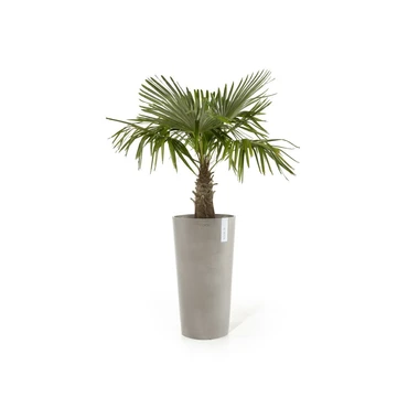 Pot amsterdam xtr hg taupe d90cm sfeer, Ecopots, tuincentrumoutlet