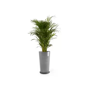 Amsterdam Mid High Grey 66 sfeer met onderzetter, Ecopots, tuincentrumoutlet