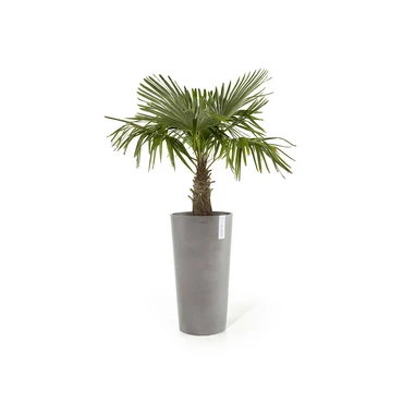 Pot amsterdam midhigh d66cm taupe sfeer, Ecopots, tuincentrumoutlet