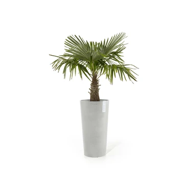 Pot amsterdam midhigh d66cm witgrs sfeer, Ecopots, tuincentrumoutlet