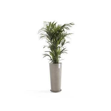 Pot amsterdam high d76cm taupe met onderschotel en plant, Ecopots, tuincentrumoutlet