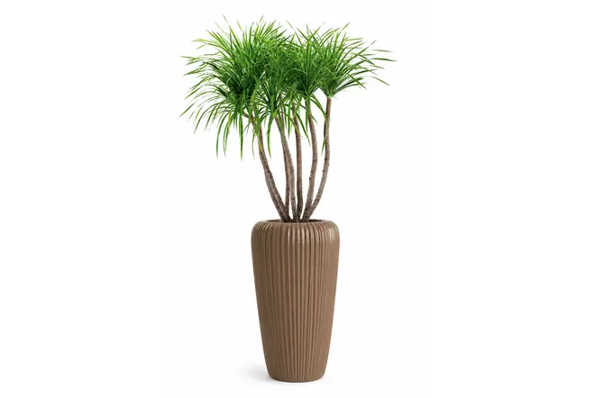 Bloempot Orobo warmbruin 29x60 cm sfeer, Vita Tuinmeubelen, tuincentrumoutlet.com