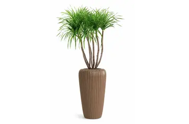 Bloempot Orobo warmbruin 29x60 cm sfeer, Vita Tuinmeubelen, tuincentrumoutlet.com