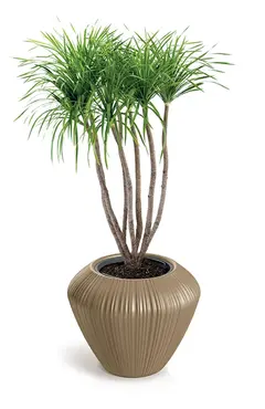 Bloempot Orobo warmbruin 38x31 cm sfeer, Vita Tuinmeubelen, tuincentrumoutlet.com