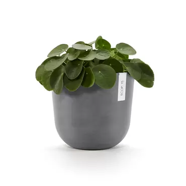 Oslo Grey 25 sfeer, Ecopots, tuincentrumoutlet