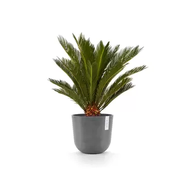 Oslo Grey 25 sfeer 3, Ecopots, tuincentrumoutlet