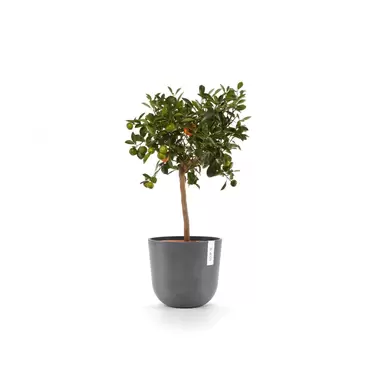 Oslo Grey 25 sfeer 4, Ecopots, tuincentrumoutlet