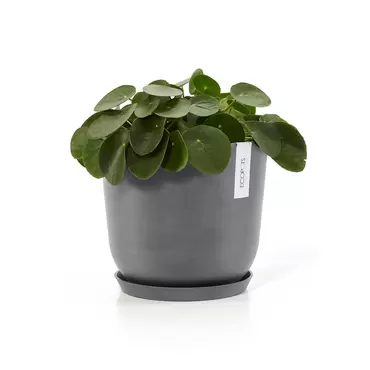 Oslo Grey 25 sfeer met onderzetter, Ecopots, tuincentrumoutlet