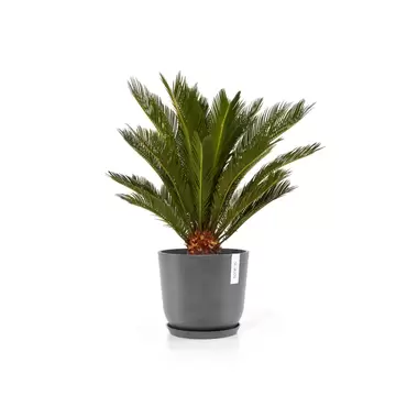 Oslo Grey 25 sfeer 3 met onderzetter, Ecopots, tuincentrumoutlet