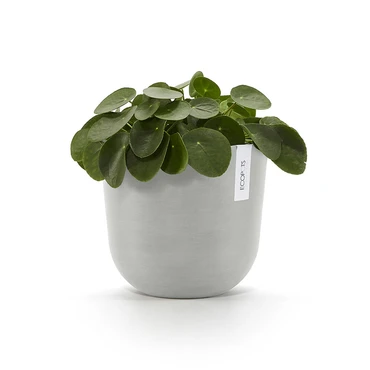 Pot oslo d25cm wit grijs sfeer, Ecopots, tuincentrumoutlet