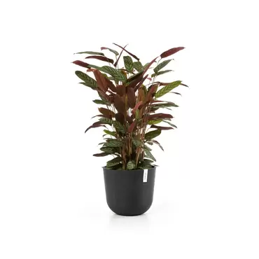 Oslo Dark Grey 35 sfeer, Ecopots, tuincentrumoutlet