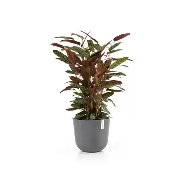 Oslo Grey 35 sfeer, Ecopots, tuincentrumoutlet