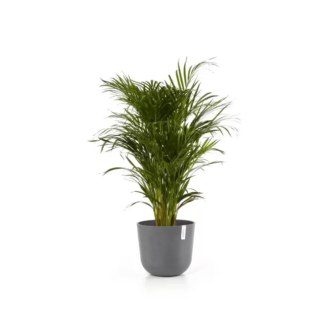 Oslo Grey 35 sfeer 2, Ecopots, tuincentrumoutlet