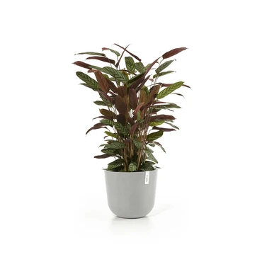 Pot oslo d35cm wit grijs sfeer, Ecopots, tuincentrumoutlet