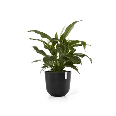 Oslo Dark Grey 45 sfeer, Ecopots, tuincentrumoutlet