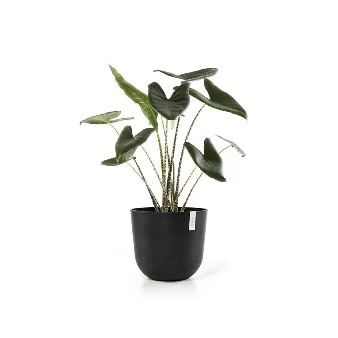 Oslo Dark Grey 45 sfeer 2, Ecopots, tuincentrumoutlet