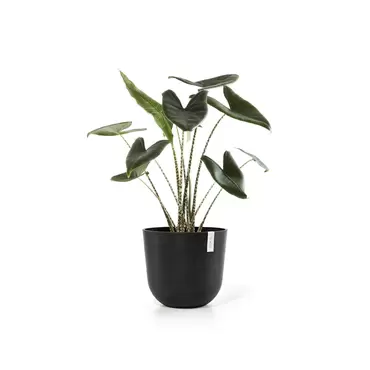 Oslo Dark Grey 45 sfeer 2, Ecopots, tuincentrumoutlet