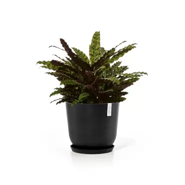 Oslo Dark Grey 45 sfeerfoto met onderzetter, Ecopots, tuincentrumoutlet