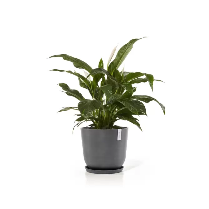 Oslo Grey 45 sfeer met onderzetter, Ecopots, tuincentrumoutlet
