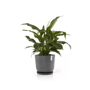 Oslo Grey 45 sfeer met onderzetter, Ecopots, tuincentrumoutlet