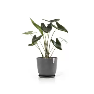 Oslo Grey 45 sfeerfoto met onderzetter, Ecopots, tuincentrumoutlet