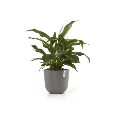 Pot oslo d45cm taupe sfeer, Ecopots, tuincentrumoutlet