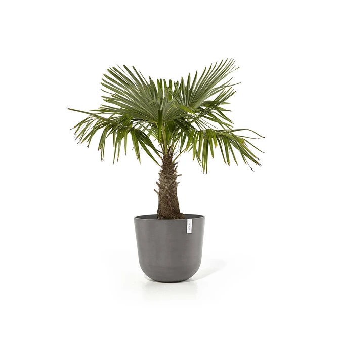 Pot oslo d55cm taupe sfeer, Ecopots, tuincentrumoutlet