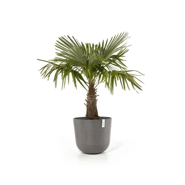 Pot oslo d55cm taupe sfeer, Ecopots, tuincentrumoutlet