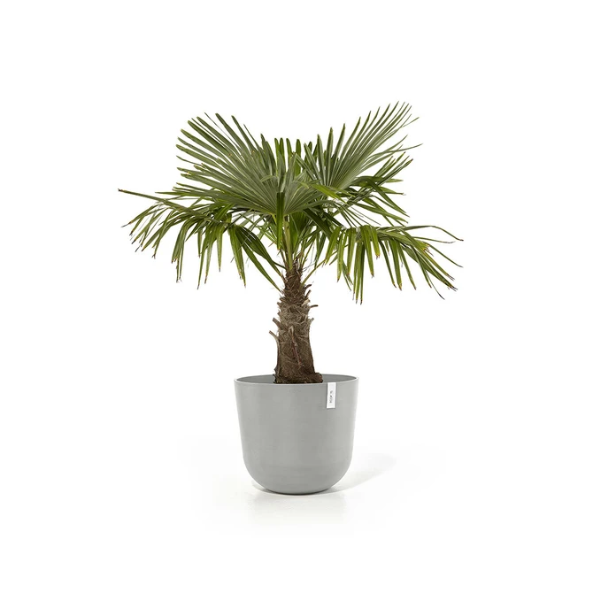 Pot oslo d55cm wit grijs sfeer, Ecopots, tuincentrumoutlet