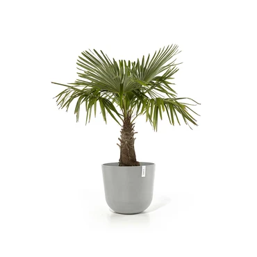 Pot oslo d55cm wit grijs sfeer, Ecopots, tuincentrumoutlet