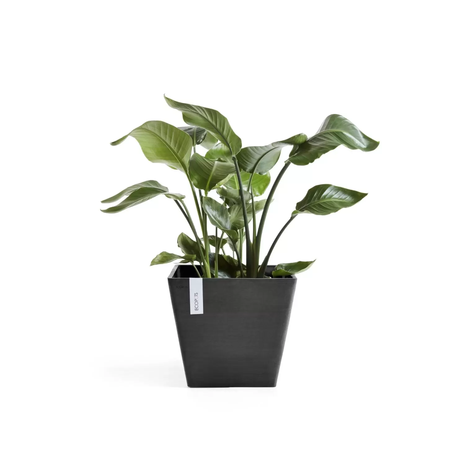 Bloempot Rotterdam 30 cm Donkergrijs Antraciet Ecopots - Tuincentrum Outlet