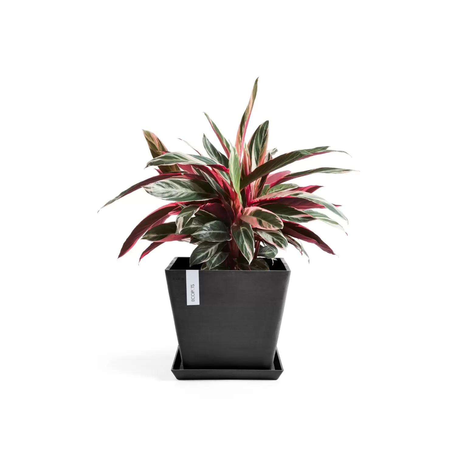 Bloempot Rotterdam 30 cm Donkergrijs Antraciet Ecopots - Tuincentrum Outlet