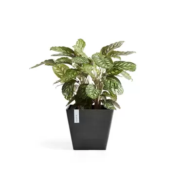 Rotterdam Dark Grey 40 sfeer 2, Ecopots, tuincentrumoutlet