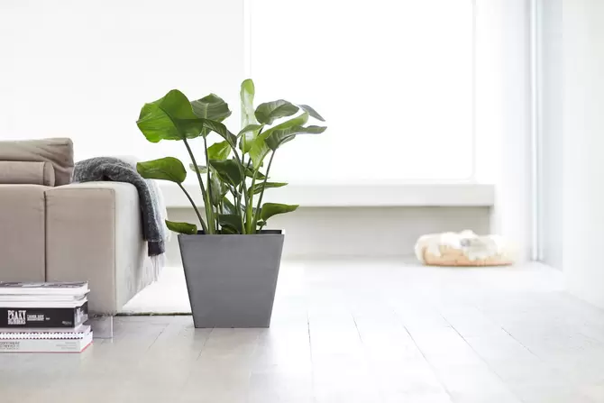 Rotterdam Grey 40 sfeerbeeld 2, Ecopots, tuincentrumoutlet