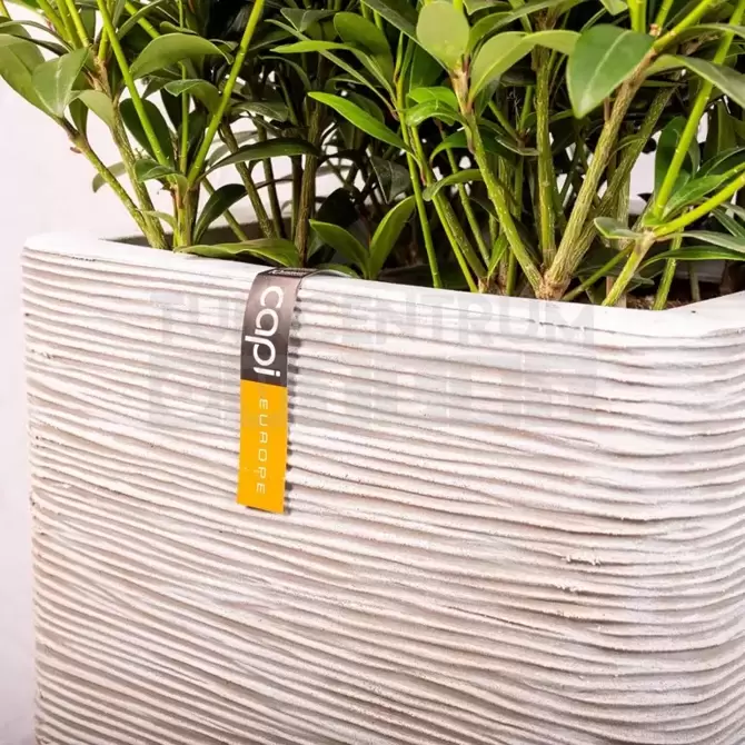 Planter square Rib NL 40x40x40 ivory detail, Capi Europe, tuincentrumoutlet